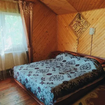 Villa Vyshenka Tatariv