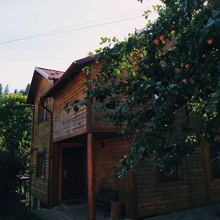 Villa Vyshenka Tatariv