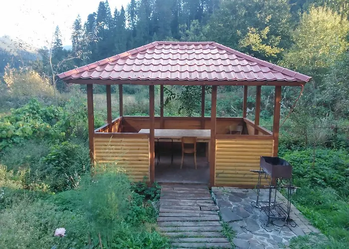 Vyshenka Villa