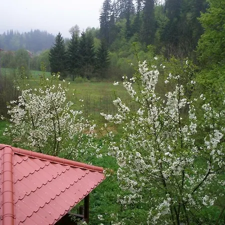 Villa Vyshenka Tatariw